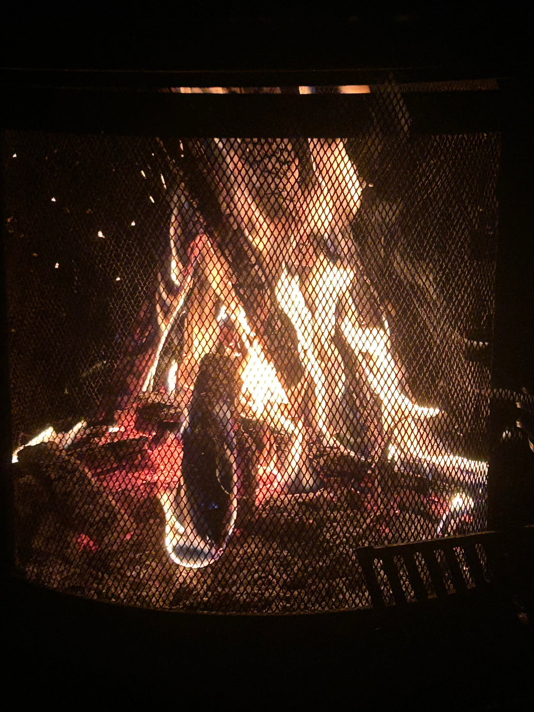 Progression in Courtenay, BC, The dreams of my parents coming true...... Broken Squirrel Wellness and more.....