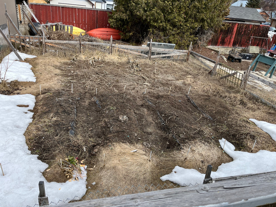 It's that time of year....... Snow melting and warmth....... teaser Spring......