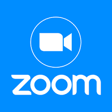 Zoom Link Yoga Therapy 1:1